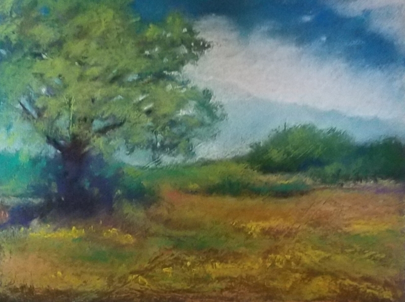 Back Country Texas by artist Julia Fletcher